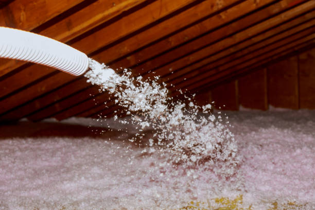 Best Commercial Insulation in Inniswold, LA