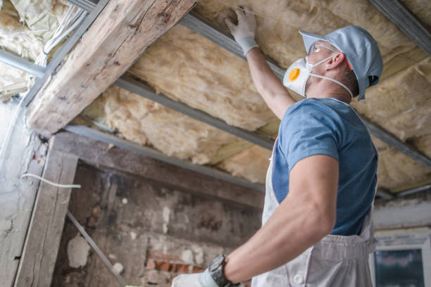 Best Blown-in Insulation in Inniswold, LA
