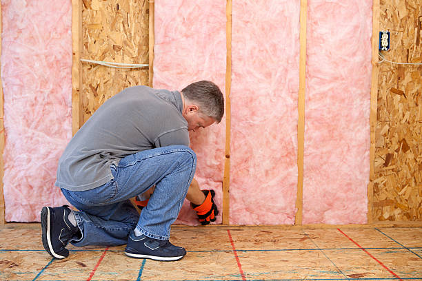Best Cellulose Insulation in Inniswold, LA
